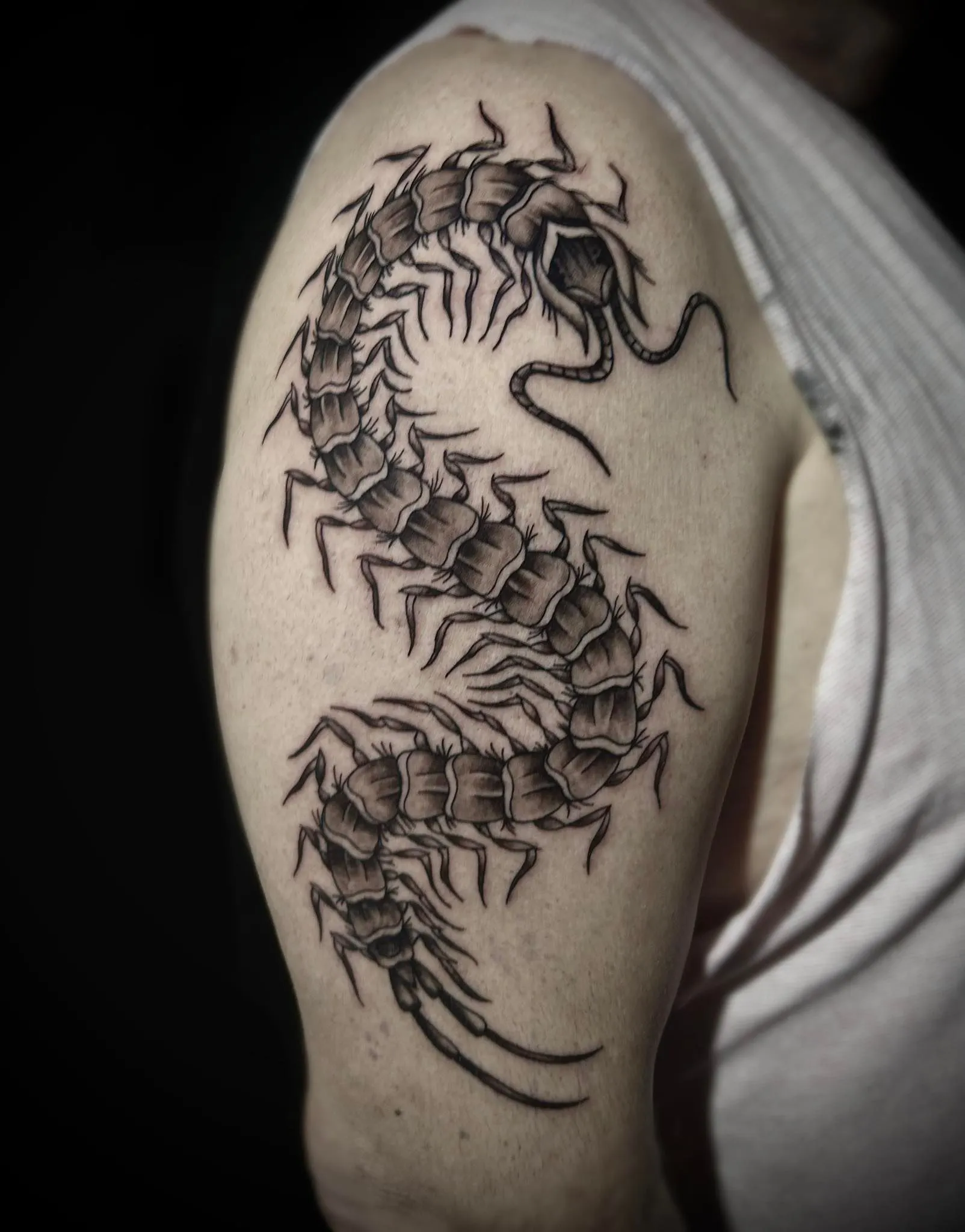 tatuaje de un ciempiés gigante